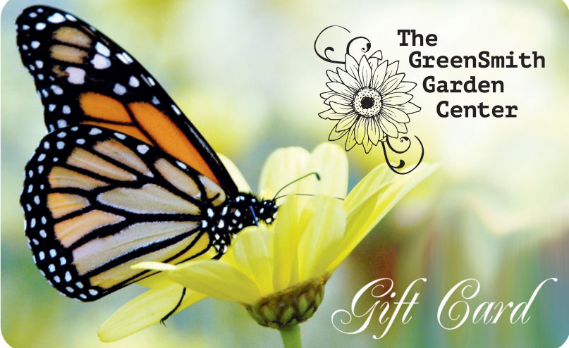 The Greensmith Gift Card with picture of Monarch Butterfly 