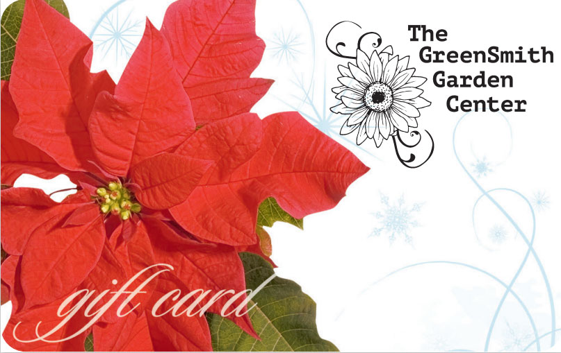 The Greensmith Holiday Gift Card with picture of poinsettia plant